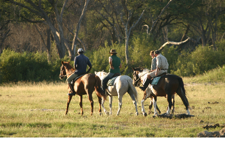 Ride Zimbabwe Hwange Safari 